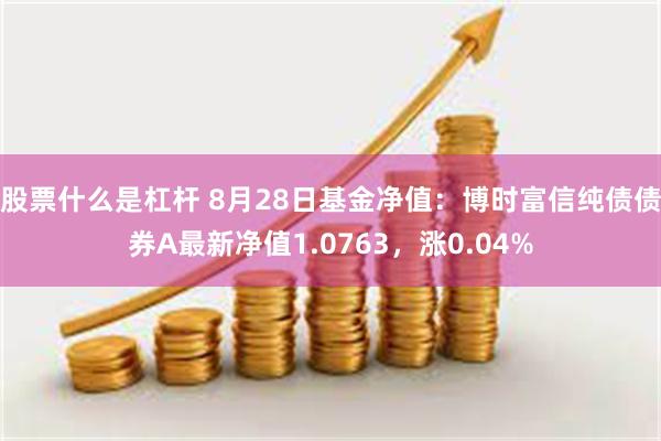 股票什么是杠杆 8月28日基金净值：博时富信纯债债券A最新净值1.0763，涨0.04%