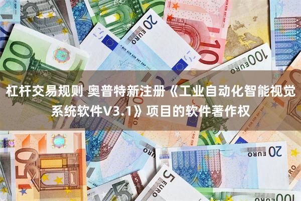 杠杆交易规则 奥普特新注册《工业自动化智能视觉系统软件V3.1》项目的软件著作权