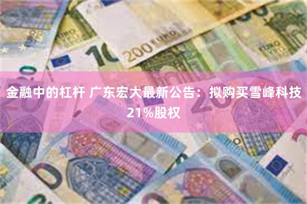 金融中的杠杆 广东宏大最新公告：拟购买雪峰科技21%股权