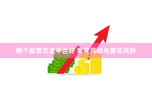 哪个股票交流平台好 紫花风铃与黄花风铃