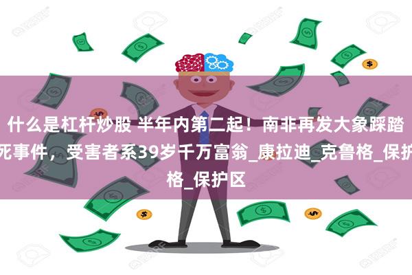 什么是杠杆炒股 半年内第二起！南非再发大象踩踏致死事件，受害者系39岁千万富翁_康拉迪_克鲁格_保护区