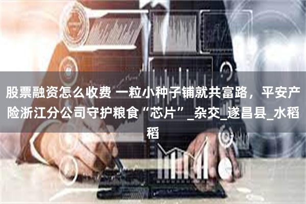 股票融资怎么收费 一粒小种子铺就共富路，平安产险浙江分公司守护粮食“芯片”_杂交_遂昌县_水稻