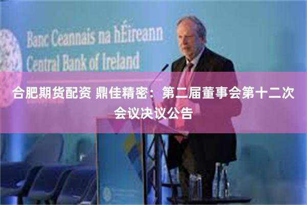 合肥期货配资 鼎佳精密：第二届董事会第十二次会议决议公告