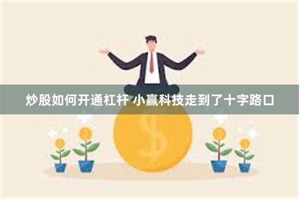 炒股如何开通杠杆 小赢科技走到了十字路口